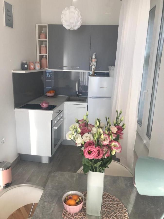Ivandic Apartment *